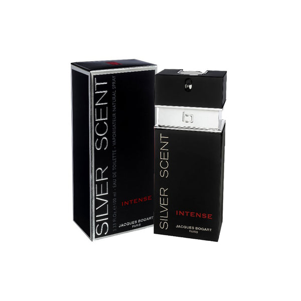 Perfume silver 2025 scent 100ml