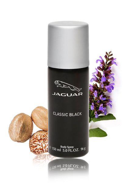 Jaguar classic black online price