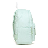 DKNY Crosswalk Range Mint Sage Soft  Backpack