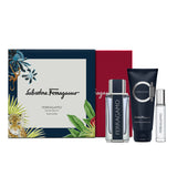 Ferragamo Pour Homme Set (Eau de Toilette 100ml + Shampoo & Shower Gel 100ml + Purse Spray 10ml)